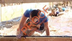 2. Mud Crawl Electric