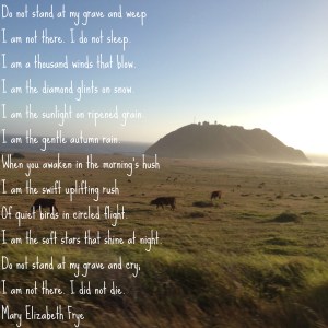 Do Not Stand At My Grave and Weep